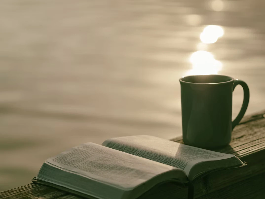 Иллюстрация из книги